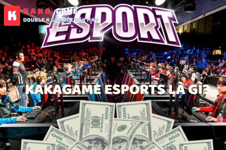 Thể thao điện tử là gì, Esports là gì?